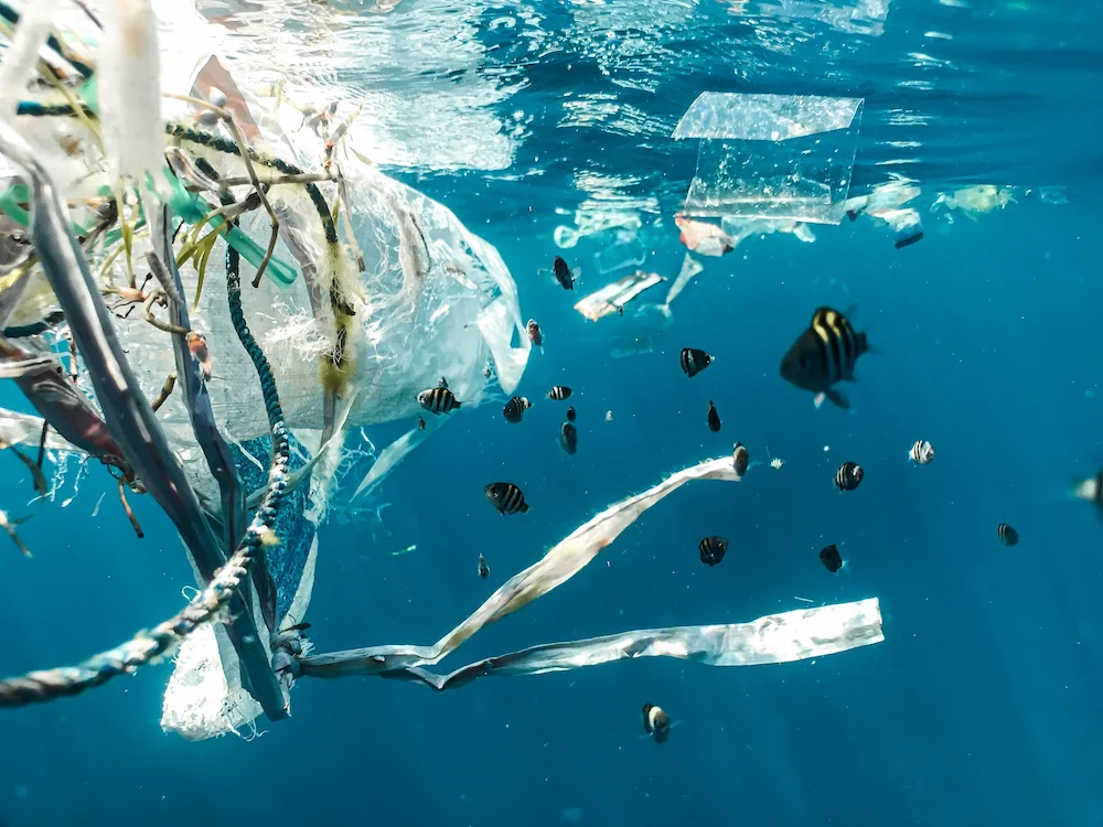 plastik emballage unsplash